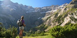 PURELY PYRENEES