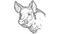 Pèle-porc & boudin
