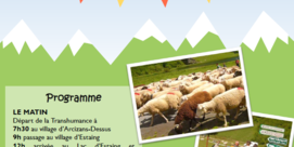 Transhumance au lac d'Estaing 
