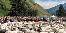 Transhumance au Lac d'Estaing 