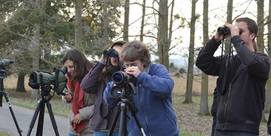 Observation des oiseaux au lac de Puydarrieux