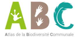 Conférence de l'Atlas de la Biodiversité Communale : "Plantes et insectes"