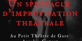 Théâtre : "Spectacle d'improvisation"