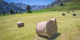 Patrimoine en visite et rencontre pastorale avec un éleveur à Saugué
