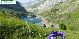 Sortie Natura 2000 : "Paysages grandioses autour du lac des Gloriettes"