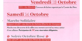 Marche solidaire et soirée Octobre Rose