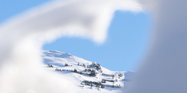 Marché des producteurs locaux - Centre Commercial - 22/12/2025