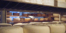Visite à la Ferme 