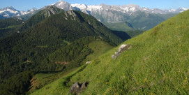 Le vol des vautours au Soum de Granquet