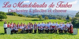 Concert La Mandolinata