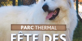 Fête des Chiens des Pyrénées