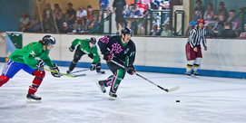 Hockey sur glace : Match d'exhibition