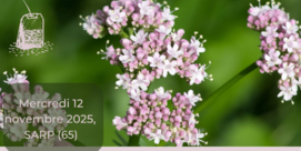 HERBO CAFE "Agir sur le sommeil"