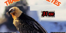 Trail des Gypaètes 18ème édition