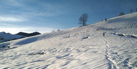 Randonnée grillades