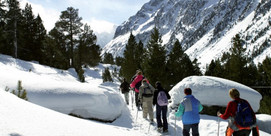 Balade découverte à raquettes au Pont d'Espagne