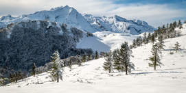 Randonnée "Le Val d'Azun sauvage en raquettes"