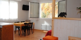 STUDIO DANS RESIDENCE