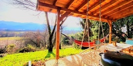 LA CABANE DANS LES BOIS