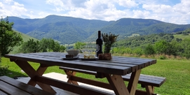 GÎTE A L'ORÉE DE LA FORÊT