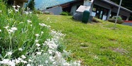 CAMPING MUNICIPAL PONT DE MOUDANG