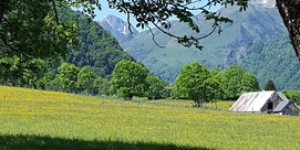 LES GRANGES DE SARRATS