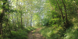 LE LARRIBET