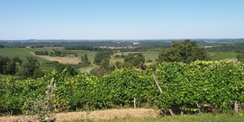 GRAND CIRCUIT DES PALOMBIÈRES