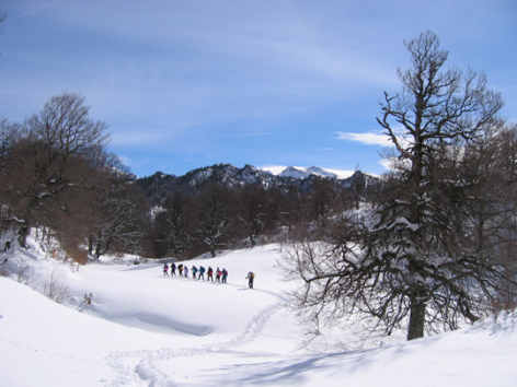 2-randoneige2-natura-ayrosarbouix-HautesPyrenees.jpg