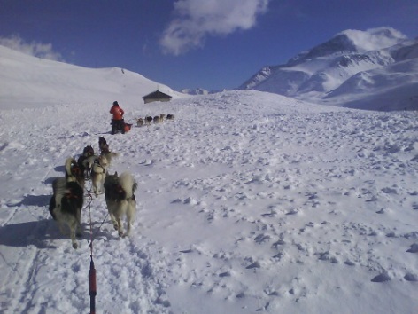 1-chiens-de-traineaux-hautes-pyrenees.jpg