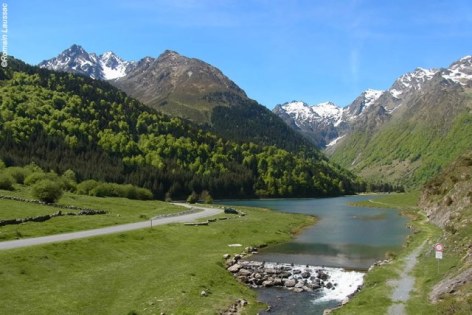 4-Purely-Pyrenees-FP2TVAZ-3.jpg