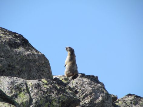 0-SIT-Pyrenees-rando-co-Hautes-Pyrenees--1-.JPG