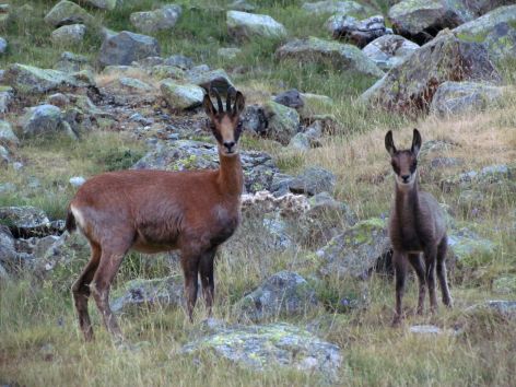 9-SIT-Pyrenees-rando-co-Hautes-Pyrenees--4-.jpg