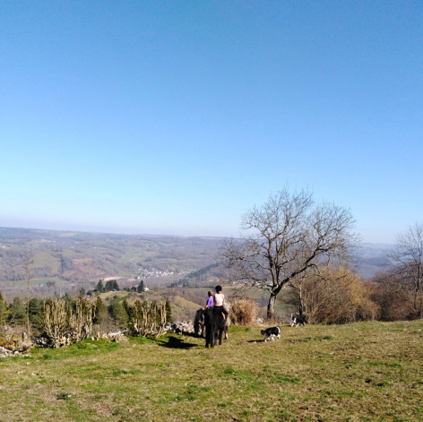 0-photo2-6.jpg