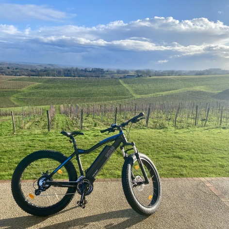 1-Velo-VAE---Chateau-du-Pouey.jpg