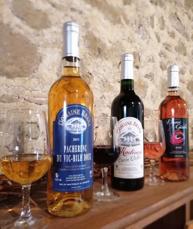3-Bouteilles--Domaine-Brana.jpg