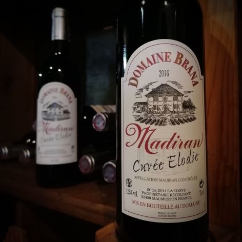 4-Madiran--Domaine-Brana.jpg