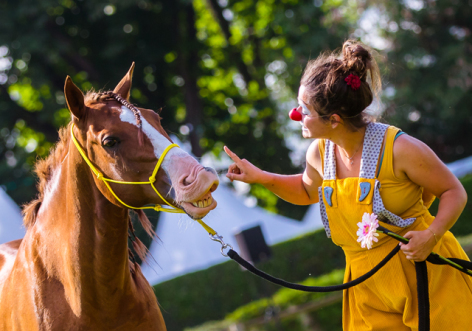 Festival d'art équestre : le cheval, la plus noble conquête de la