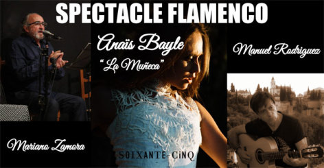 0-spectacle-flamenco.jpg