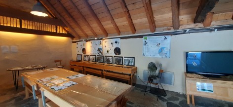 1-20230206-135334.jpg