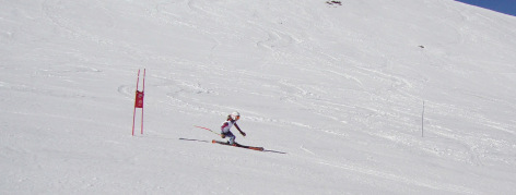 0-ski-toy-2.JPG