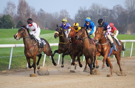 0-course-hippique-2.jpg