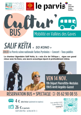 1-AFFICHE-CULTURE-BUS-salif-keita-724x1024.png
