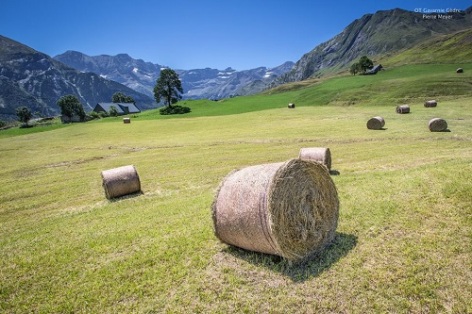 0-Plateau-de-Saugue.jpg