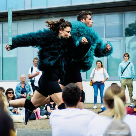 0-Lourdes-spectacle-Bison-juin-2025.jpg