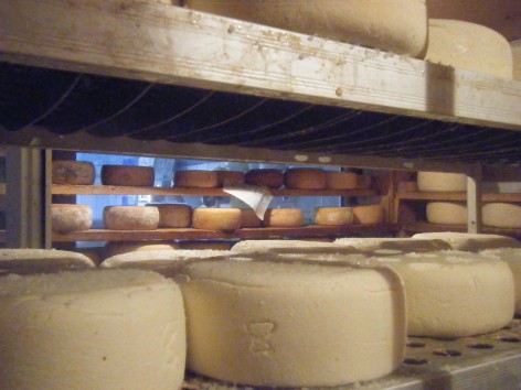 1-Berger-2.jpg