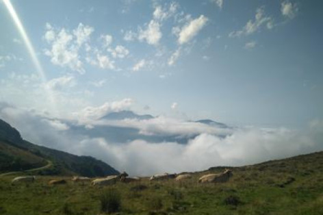 0-pastorale.jpg