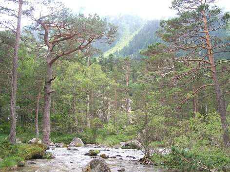 0-Pistes-sauvages-en-vallee-de-Gaube.jpg