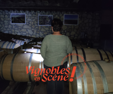 0-10-19-Vignobles-en-Scene---Domaine-Sergent.png