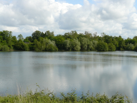 3-maison-eau----MM.JPG